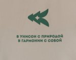 Футболка «Созвучие Кенозерья» Футболка «Созвучие Кенозерья»