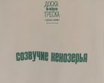 Футболка «Созвучие Кенозерья» Футболка «Созвучие Кенозерья»