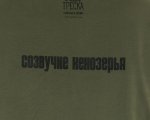 Футболка «Созвучие Кенозерья» Футболка «Созвучие Кенозерья»